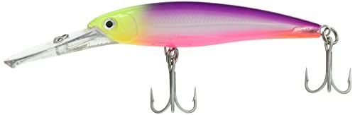 サイコチャート PSYC_14cm/46g Rapala(ラパラ) ミノー Xラップ マグナム 14cm 46g サイコチャート PSYC  XR20MAG-PSYC ルアー