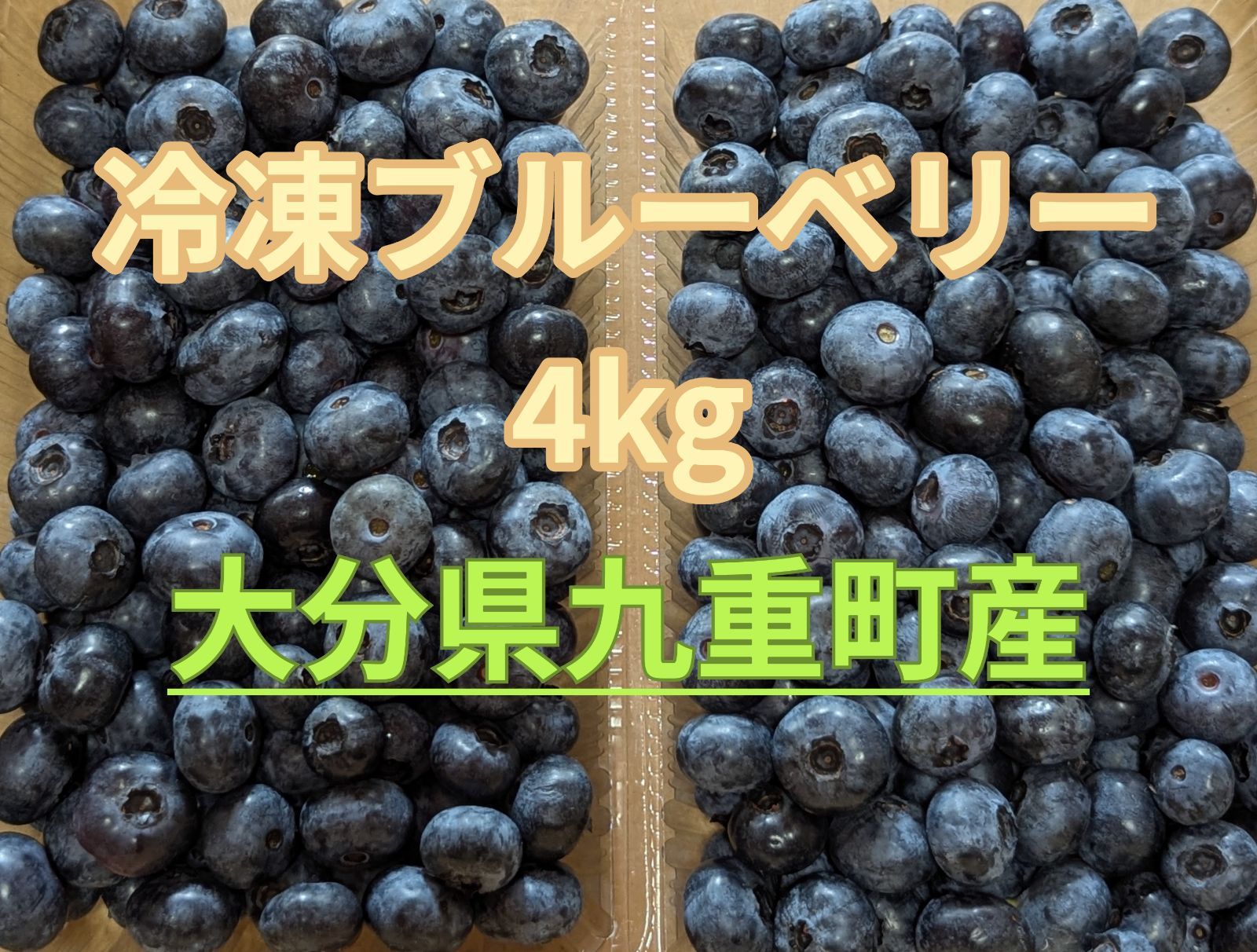 今夏摘み取り ブルーベリー 4kg 冷凍保存 クール便発送