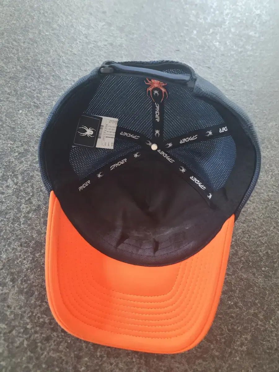 イーグルス スパイダー