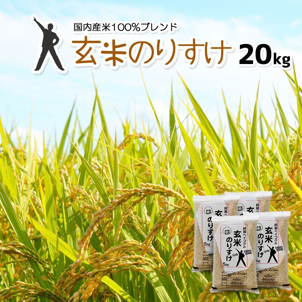 玄米 のりすけ 20kg 産 ブレンド米 20キロ コメ お米