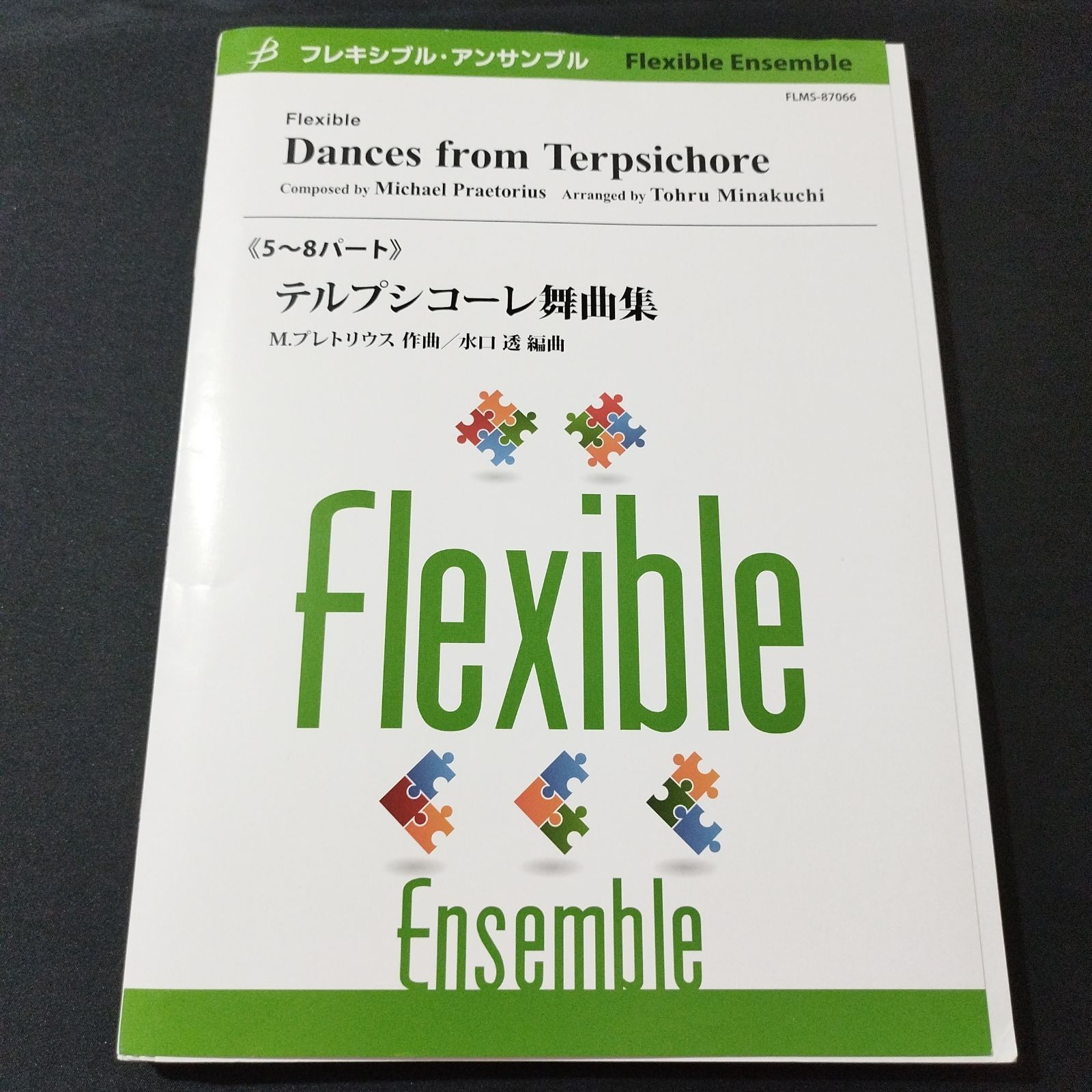 吹奏楽 フレキシブル5－7パート＋打楽器 水口透・編曲 テルプシコーレ 