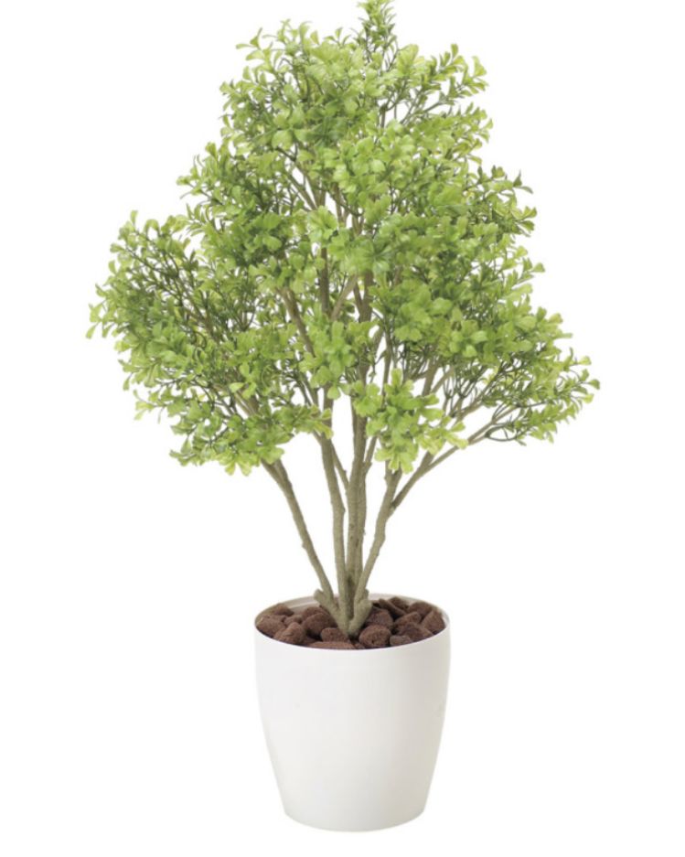 光触媒 人工観葉植物 ウォールグリーン フェイクグリーン ボックス