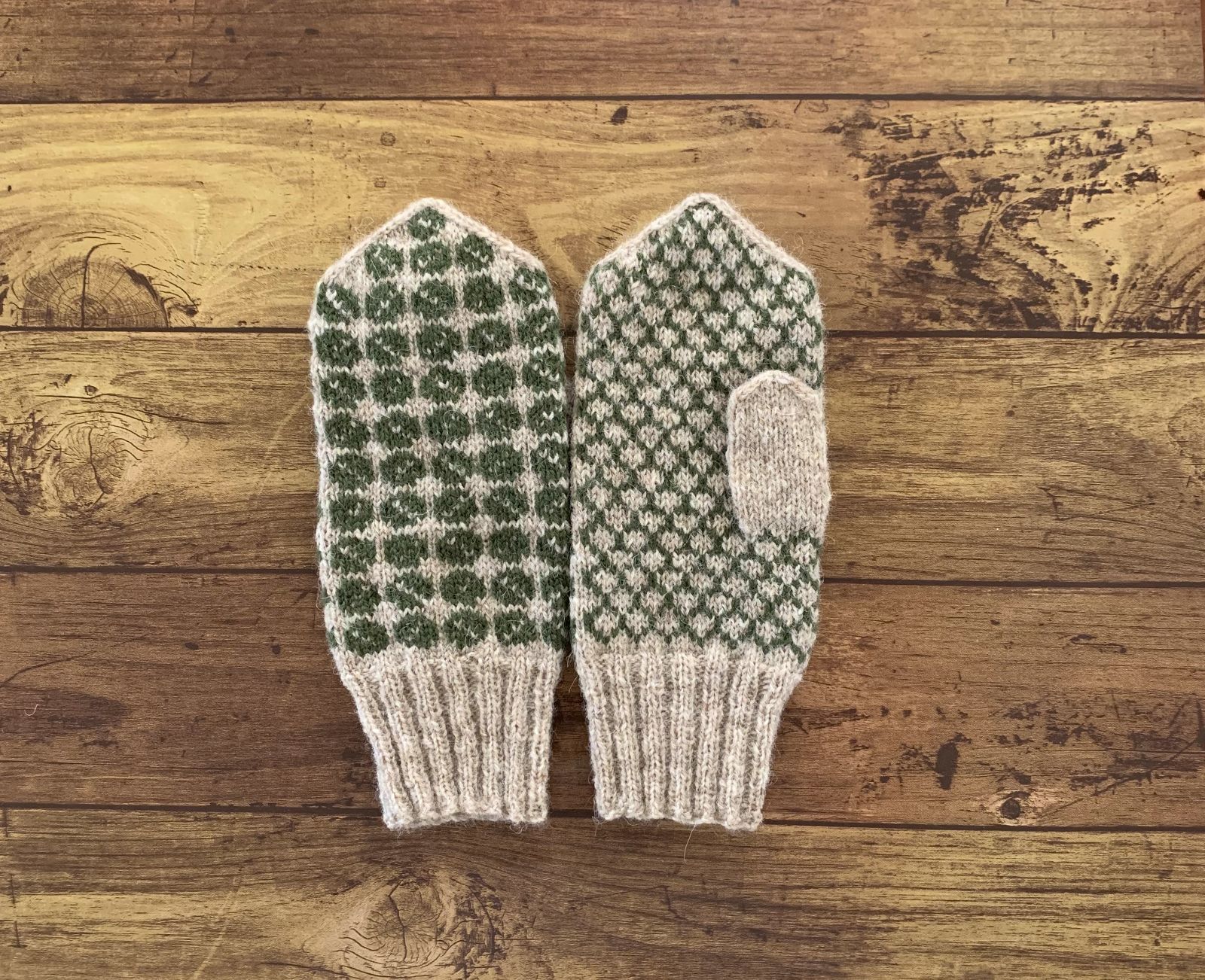 希少 REVE VERSION 5 エミリッドバハマスリーブ付き 美品