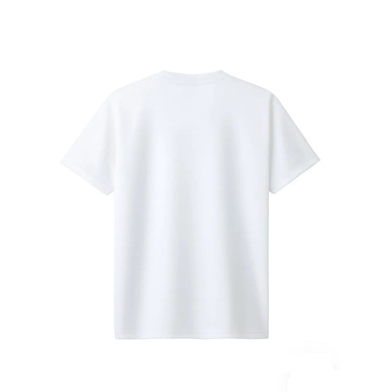 XLサイズ【SAGA 2024】国スポ 記念Ｔシャツ JAPAN GAME 白 XLサイズ【SAGA 2024】国スポ 記念Tシャツ JAPAN GAME 白