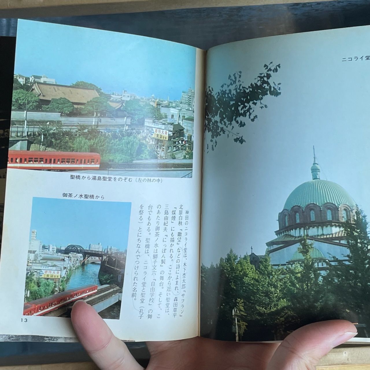 武蔵野 保育社 カラーブックス - メルカリ