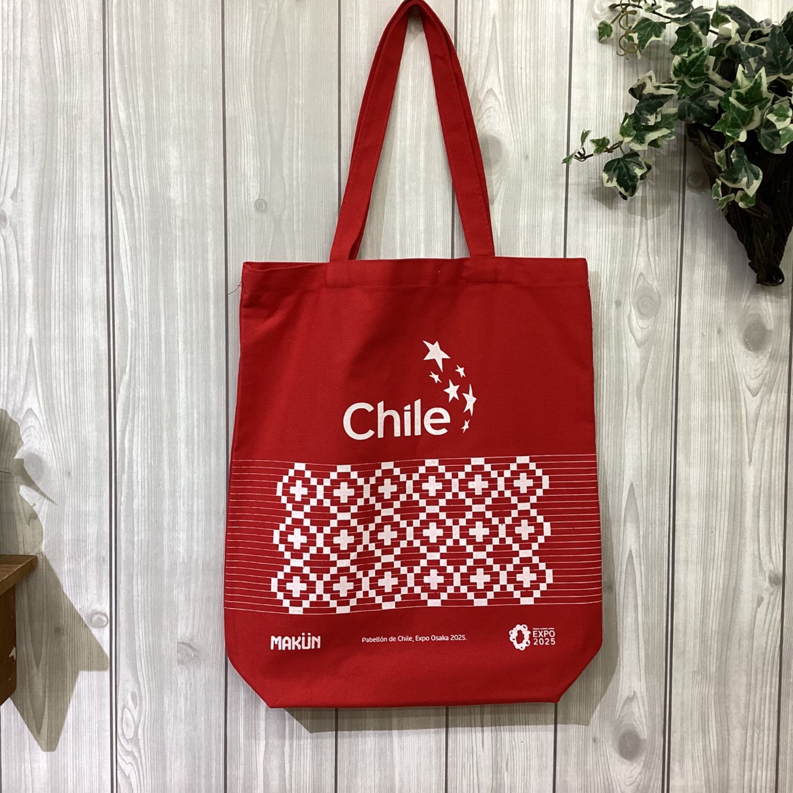 美品 2025年大阪万博 チリパビリオン トートバッグ EXPO2025