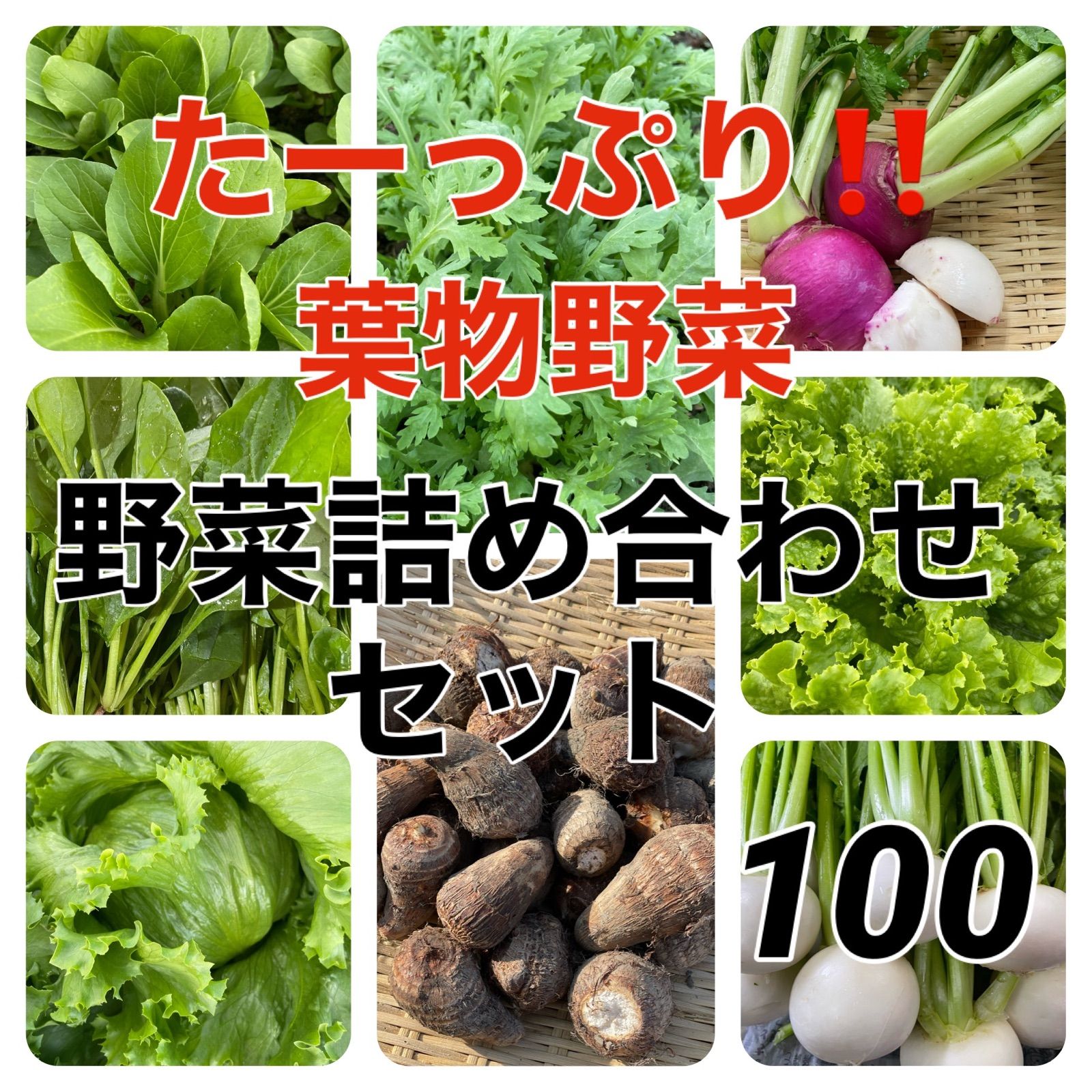 3日発送‼️たーっぷり野菜詰め合わせセット‼️１００サイズ‼️採りたて