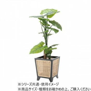プランターカバー ナチュラル