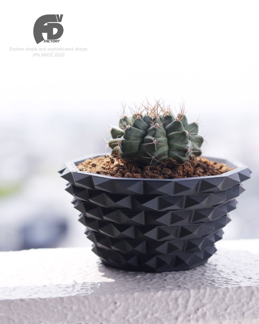 手作植木鉢 陶器鉢⑩ 検(アガベ 塊根植物 野暮ったい コーデック
