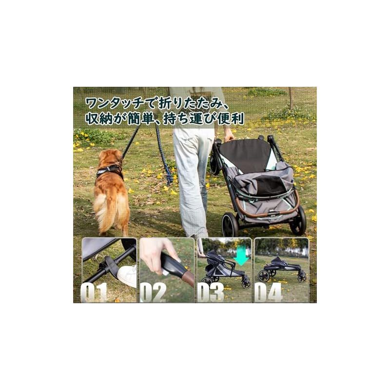 バギー