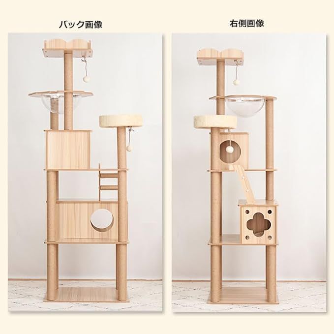 中型 爪研ぎ