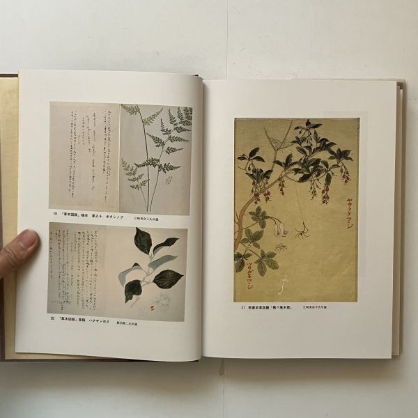 【I/I4】飯沼慾斎　飯沼慾齋生誕二百年記念誌編集委員会　昭和59年発行　蘭学医学/本草/植物学 らんまん」の牧野富太郎博士もリスペクト！ 幕末の博物学者・飯沼慾斎