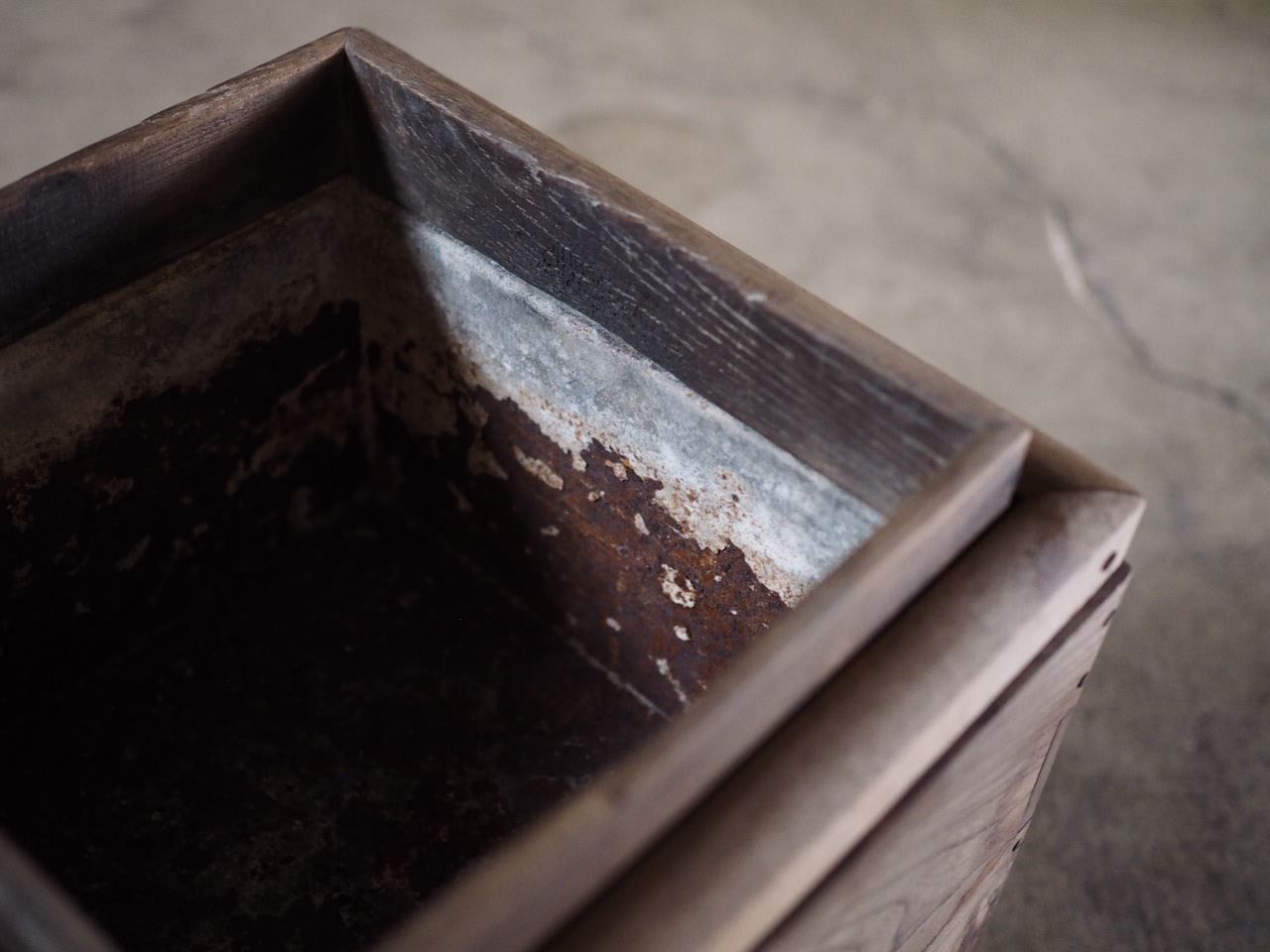 古録展 送料無料