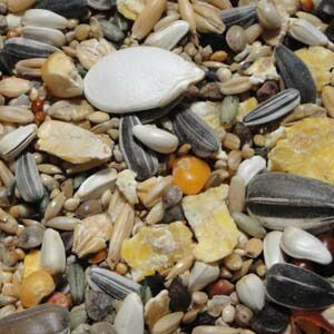 黒瀬マニアシリーズ 大型インコ 3L×6個セット