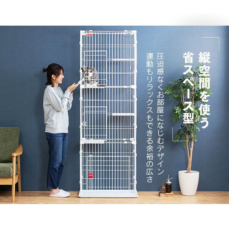 ステップ 室内