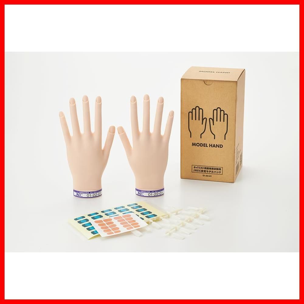 在庫処分】セット STモデルハンド JNEC ネイリスト検定 認定モデルハンド