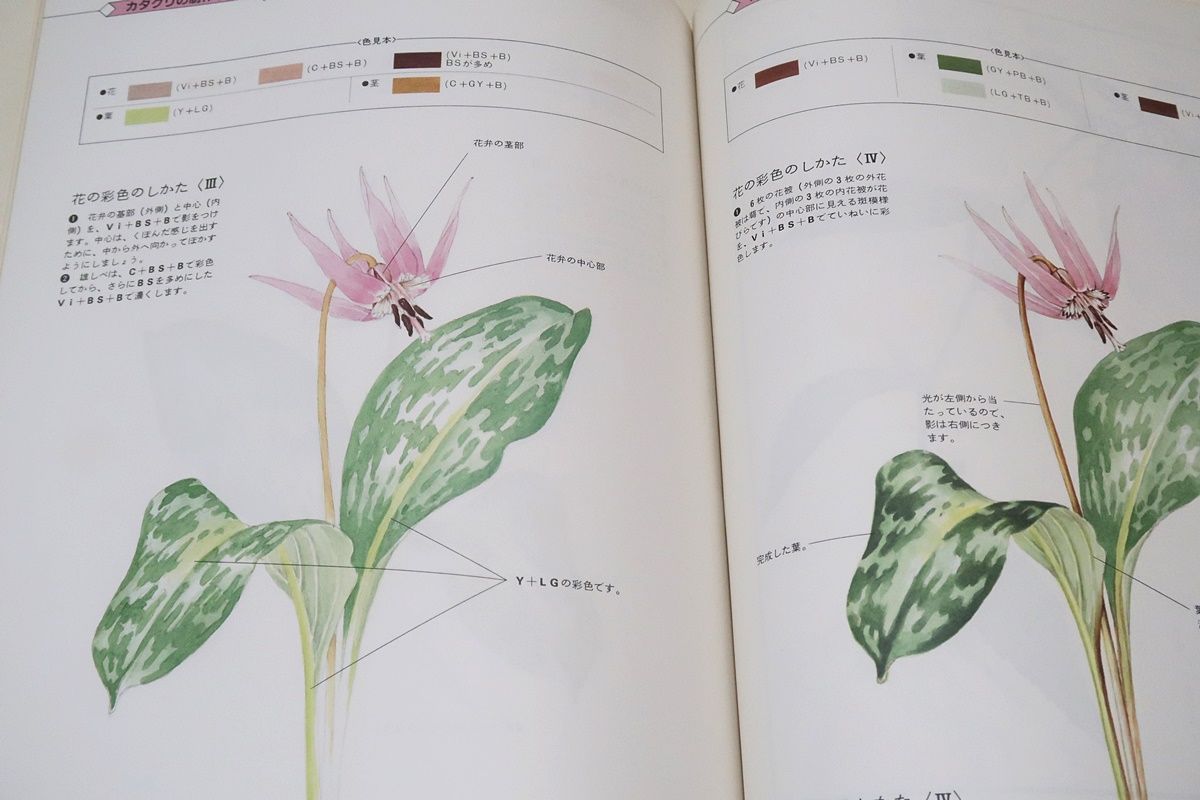 植物画の本5冊/佐藤廣喜作品集・定価9800円/佐藤廣喜監修・植物画講座3