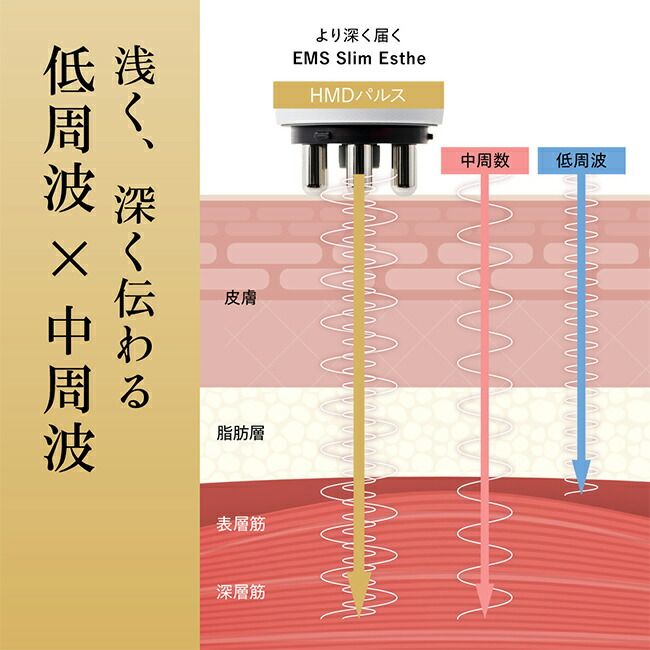 お尻 ヒップ