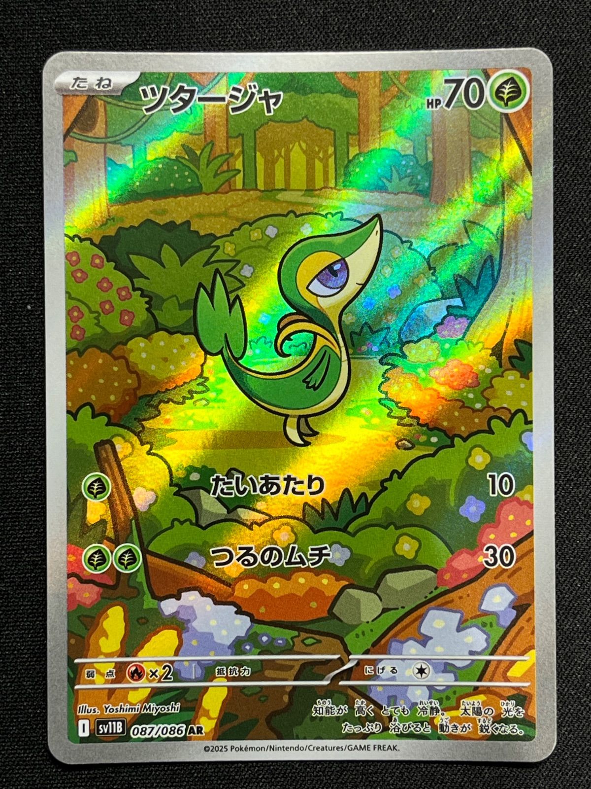ツタージャ ポカブ ミジュマル AR 各1枚ずつ コンプオフ【ファボ