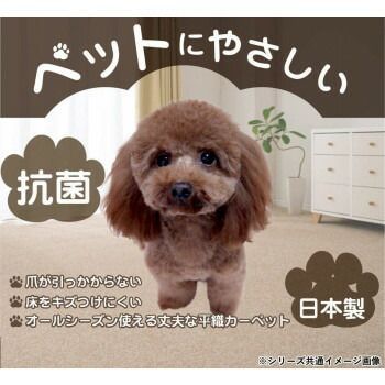 Nリーダー