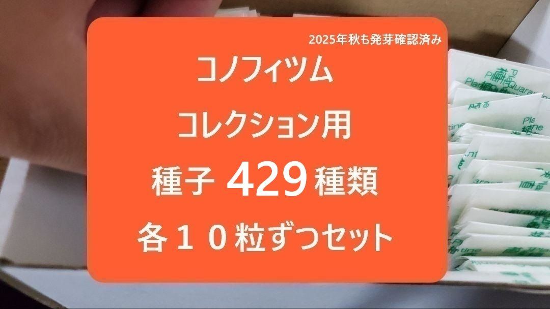 バラ販売OK コノフィツム種子 用 429種類 １０粒ずつセット