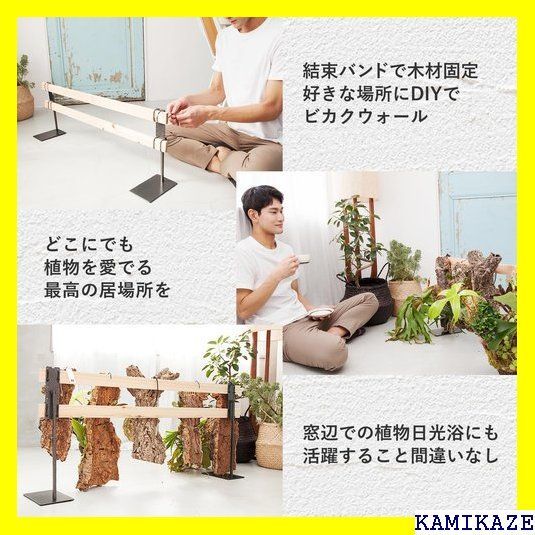 ☆便利 PLANTENT 植物ディスプレイスタンド T.P.Stand ビカクシダ