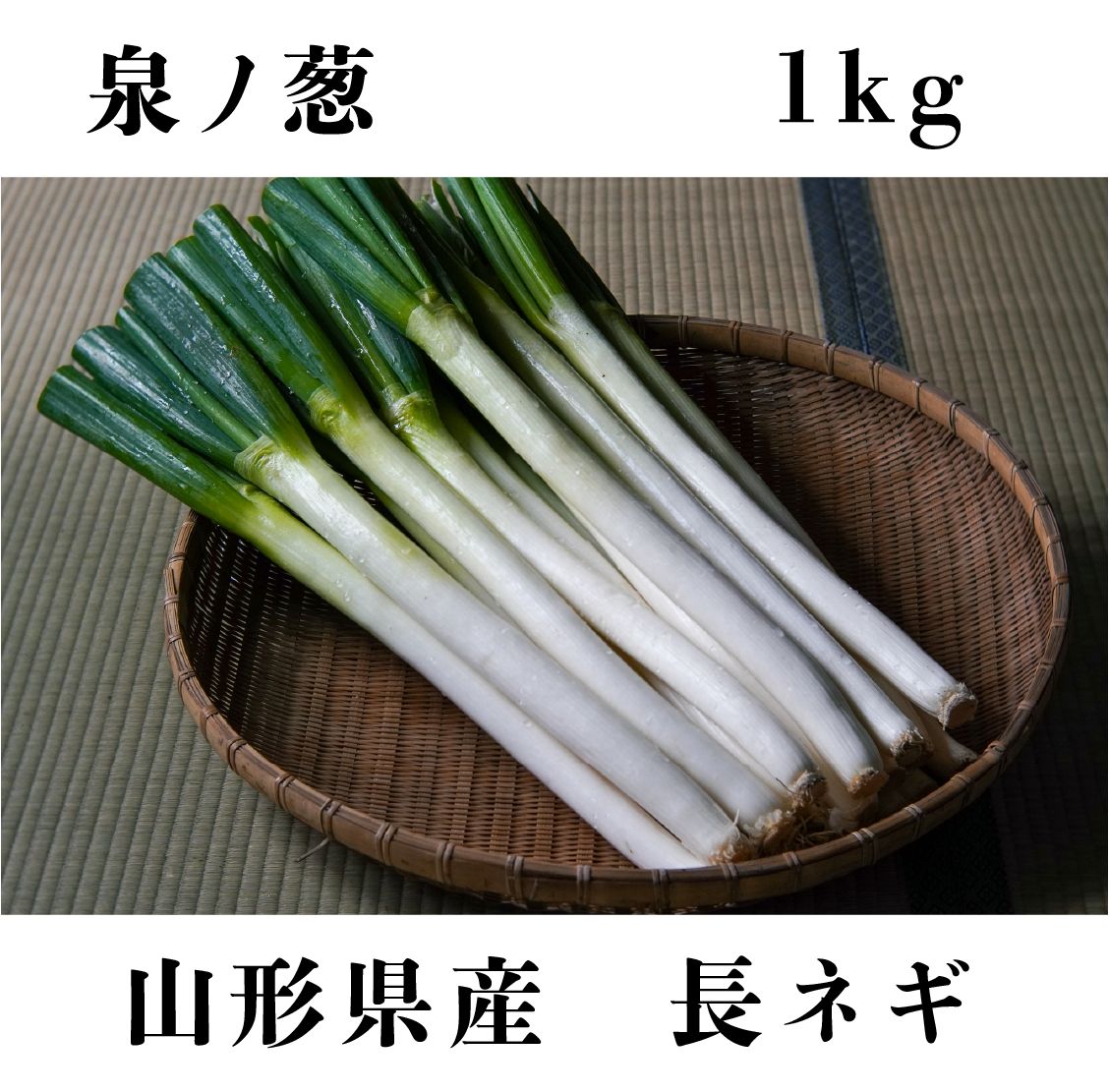 長ネギ（白ネギ）18kg＋ちょっとオマケ - 野菜