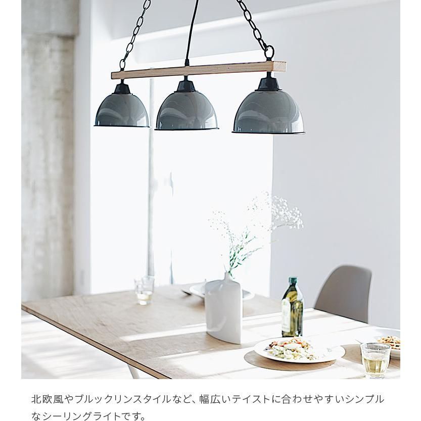 NUURA | ANOLI 1 MEDIUM ペンダントランプ2個SET Anoli 1 Medium