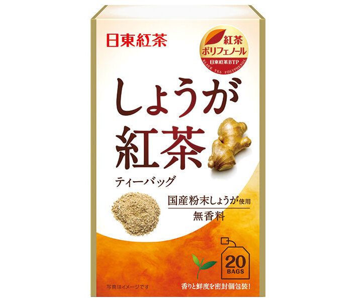 三井農林 日東紅茶 しょうが紅茶 2.2g×20袋×48袋入｜ 紅茶 嗜好品 生姜