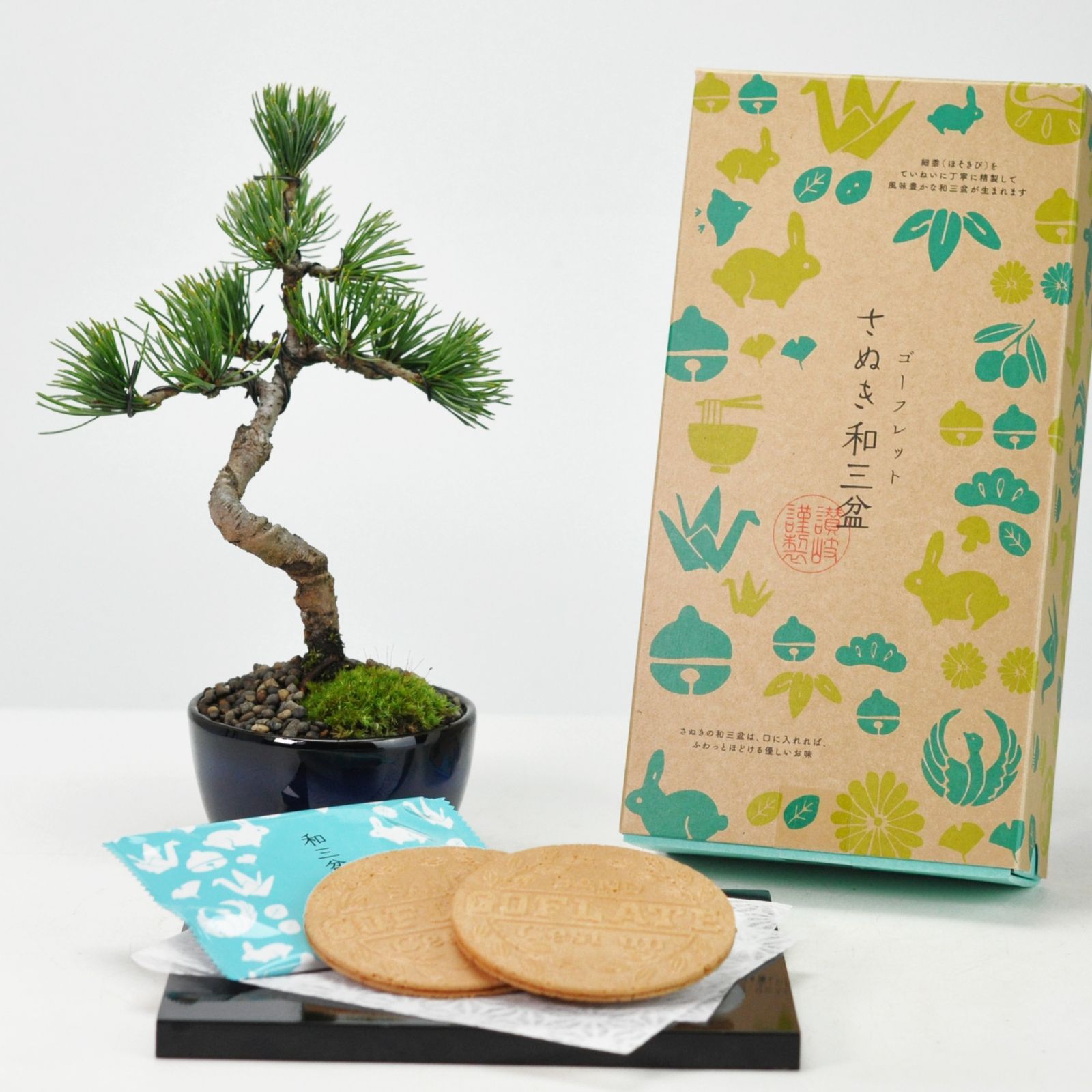 SONOKO様専用 おやつ便 シフォンケーキサンド チーズケーキ テリーヌ