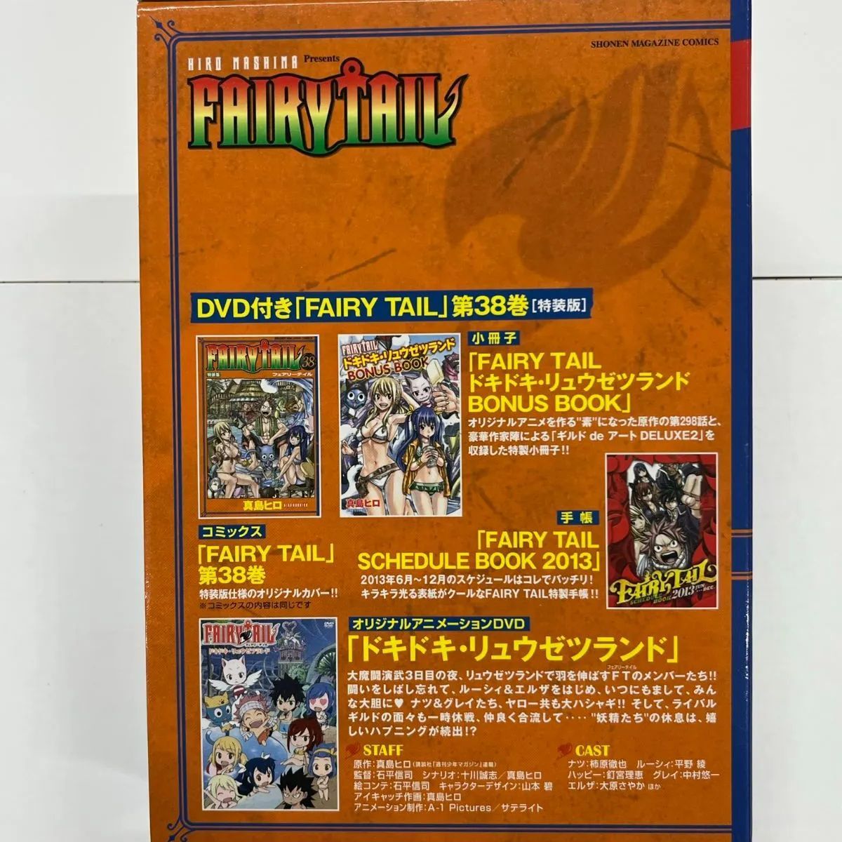 FAIRY TAIL フェアリーテイル 38 特装版 DVD付 真島ヒロ 【中古 