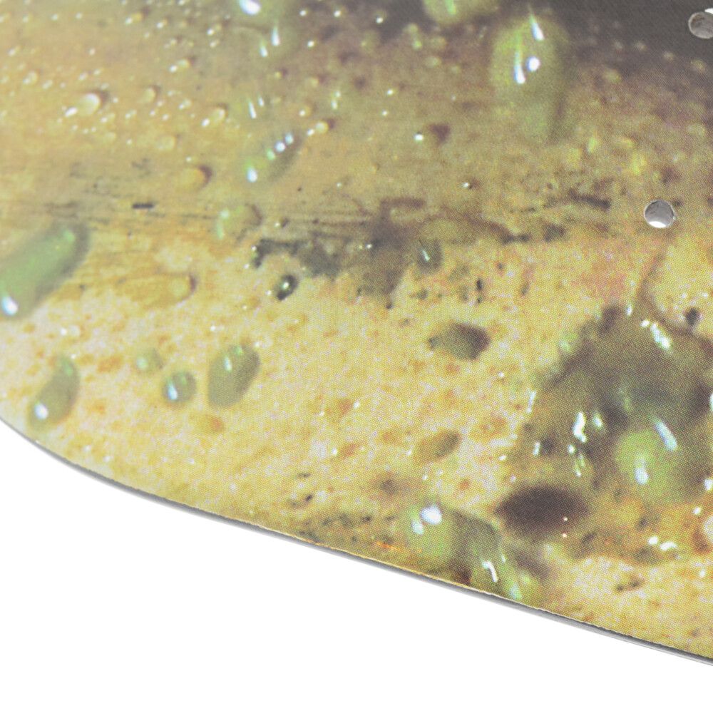 SUPREME (シュプリーム) 08 X Marilyn Minter rince skate board deck  