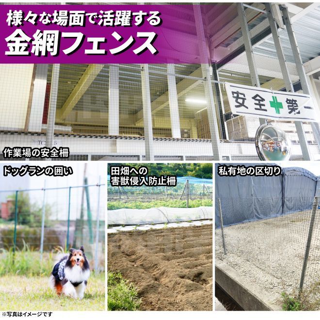 金網 フェンス