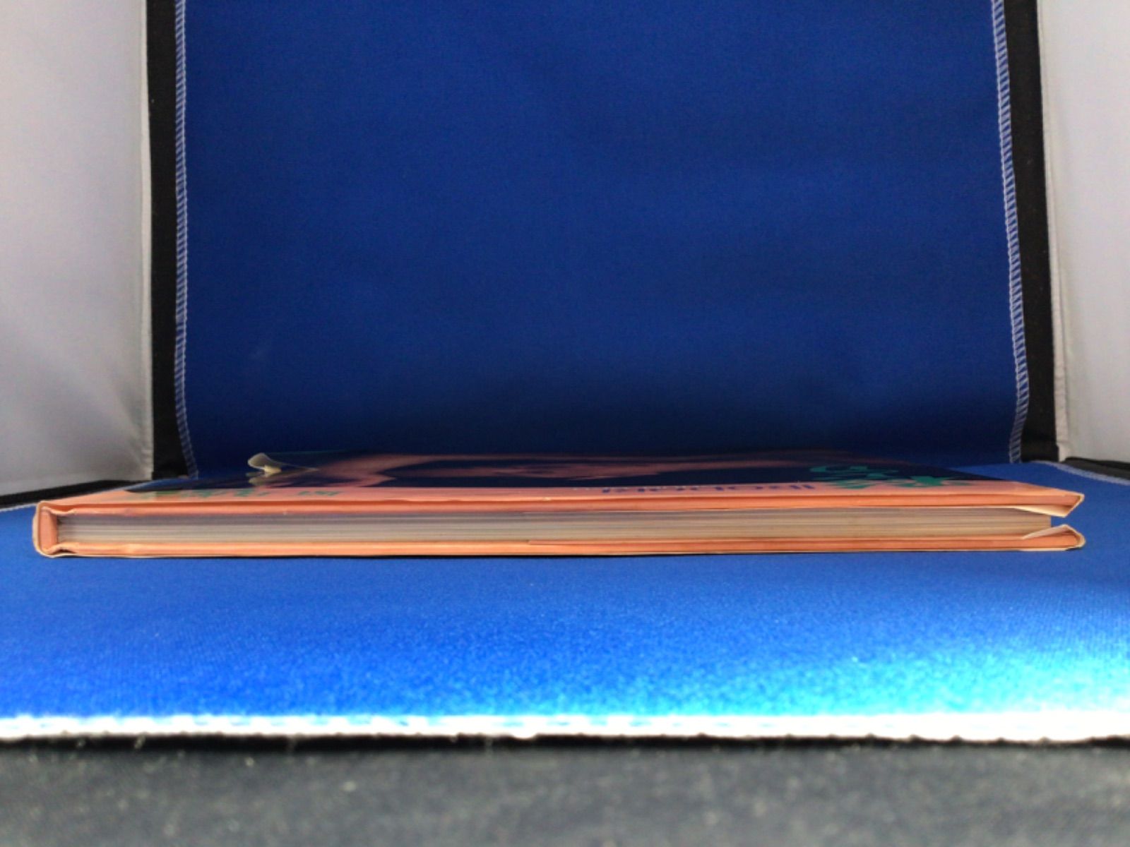 原真祐美 写真集 彩どり 奥舜 ワニブックス *335 - メルカリ