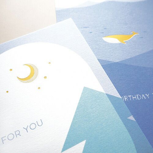 PCD-005 ×50セット