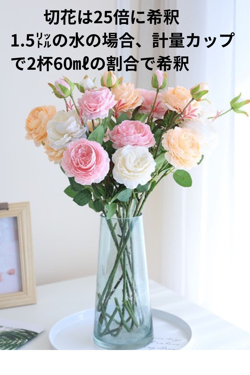 濃縮タイプ 3本セット