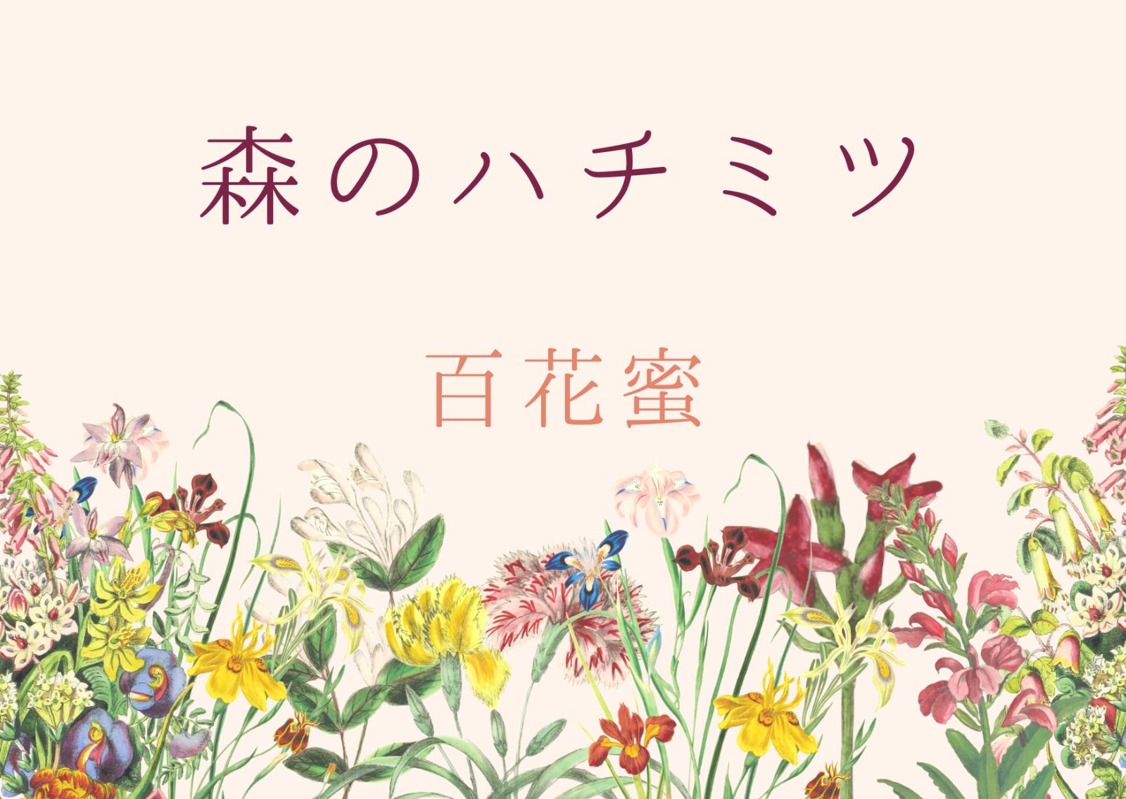はちみつ 百花蜜 600g×4瓶 《2400g》2.4Kg 国産 純粋 - メルカリ