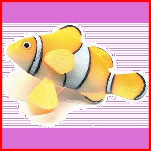 カラフルなクマノミ