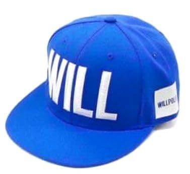 BUMP OF CHICKEN バンプオブチキン TOUR WILLPOLIS 2014 グッズ 帽子 キャップ