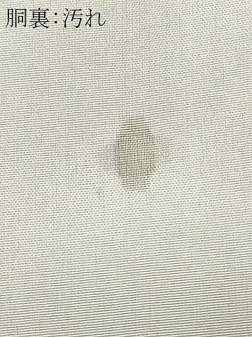 平和屋着物▽本場大島紬 単衣 葉尽くし 正絹 逸品 DAAS0089az