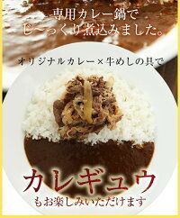 ギュウギュウカレーセット32個 仕様牛めしの具×10
