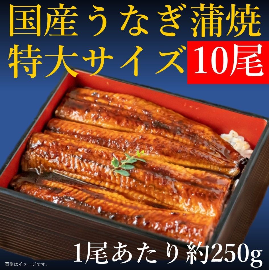 大特価　数量限定　鹿児島県産　蒲焼６尾 大特価 数量限定 鹿児島県産 蒲焼6尾 大特価 数量限定 鹿児島県