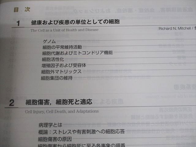 丸善出版/ELSEVIER ロビンス基礎病理学 原書10版 2018 038M3D ロビンス基礎病理学 原書11版: ―電子書籍(日本語・英語版)付