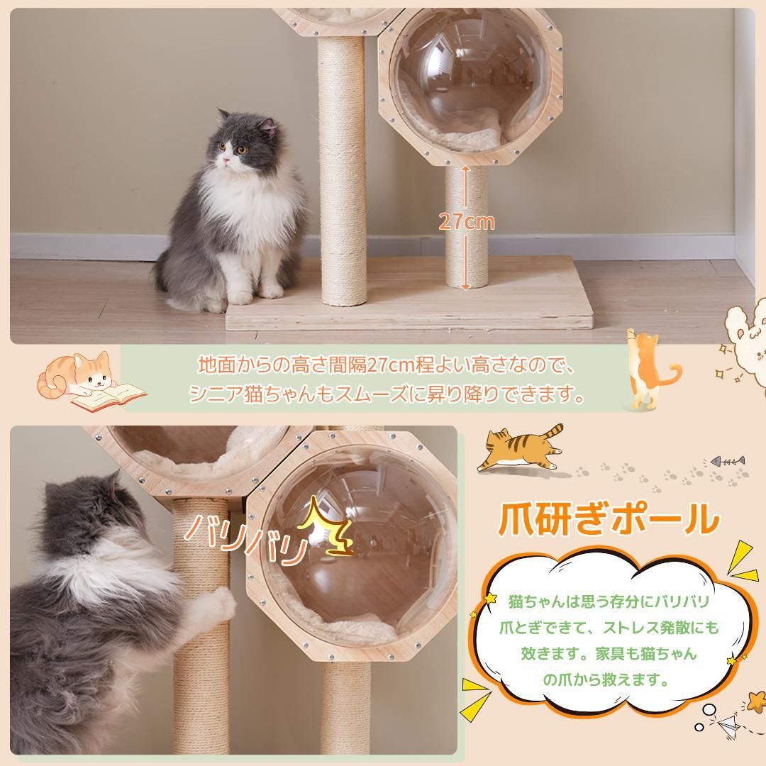 多頭飼い 高さ152cm