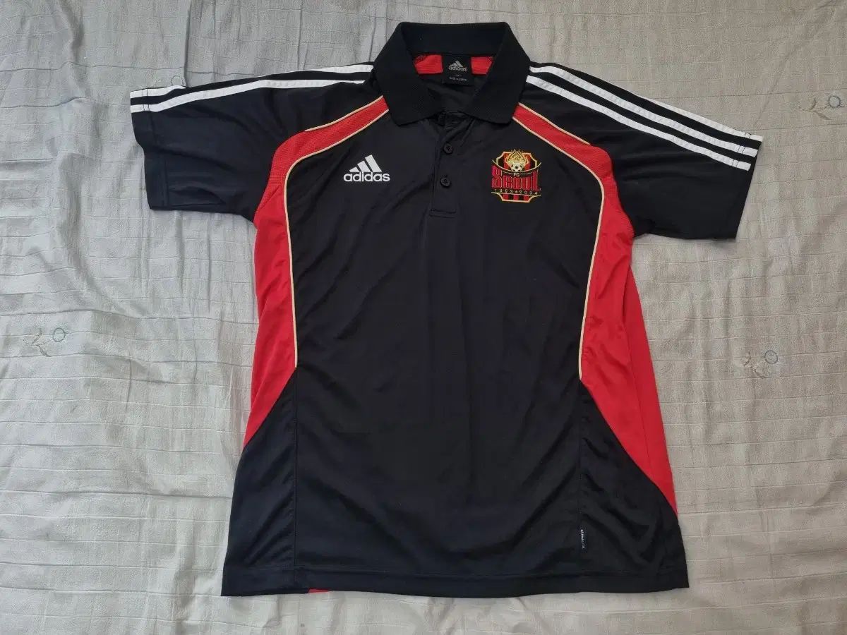 2010 FC SEOUL ソウル ポロッティ