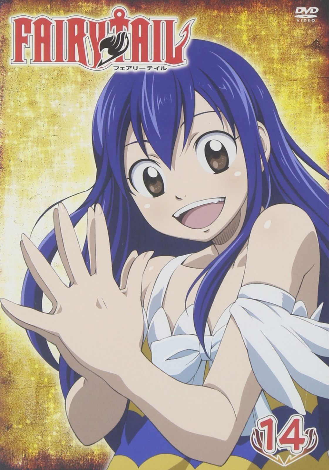 FAIRY TAIL 14 DVD