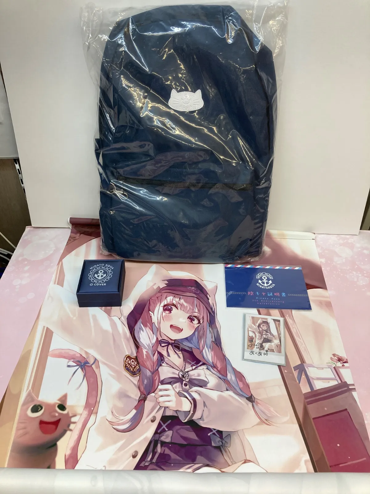 2026年最新】湊あくあ 活動5周年記念 あくたんと一緒にお出かけ