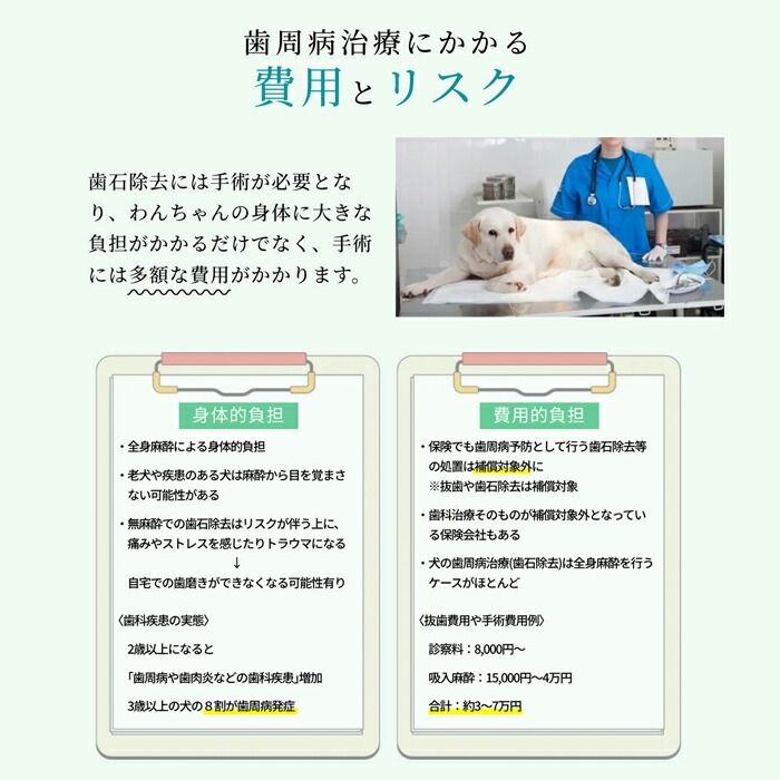 携帯用