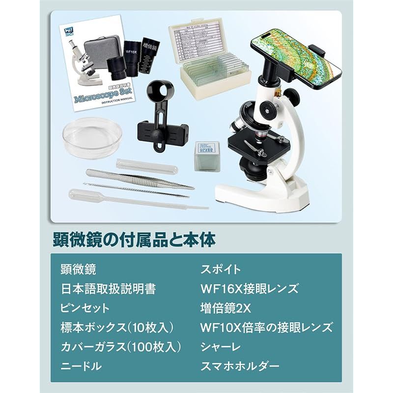 自由研究 標本付き