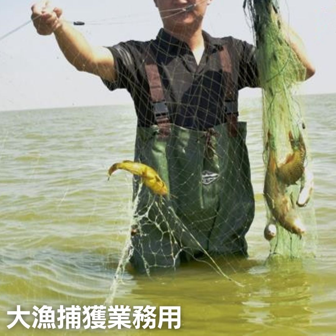 投網 とあみ 魚 漁業 漁師 フィッシング スポーツ ネット 釣りネット 投網 とあみ 魚 漁業 漁師 フィッシング スポーツ ネット 釣り